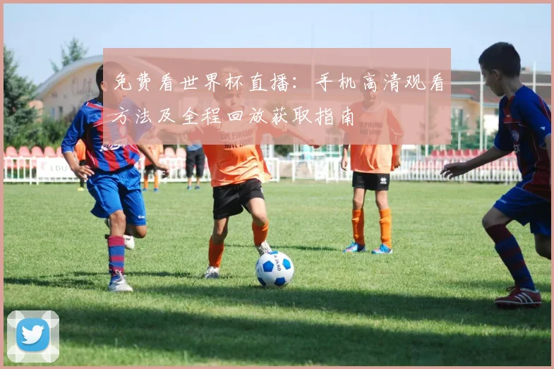 免费看世界杯直播:手机高清观看方法及全程回放获取指南
