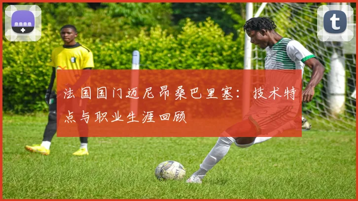 法国国门迈尼昂桑巴里塞:技术特点与职业生涯回顾