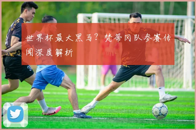 世界杯最大黑马?梵蒂冈队参赛传闻深度解析