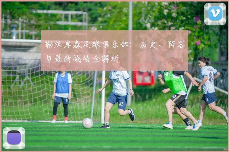 勒沃库森足球俱乐部：历史、阵容与最新战绩全解析