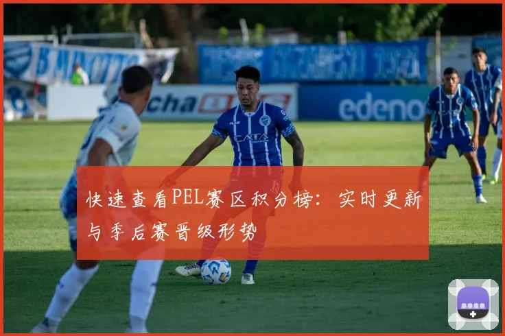 快速查看PEL赛区积分榜：实时更新与季后赛晋级形势